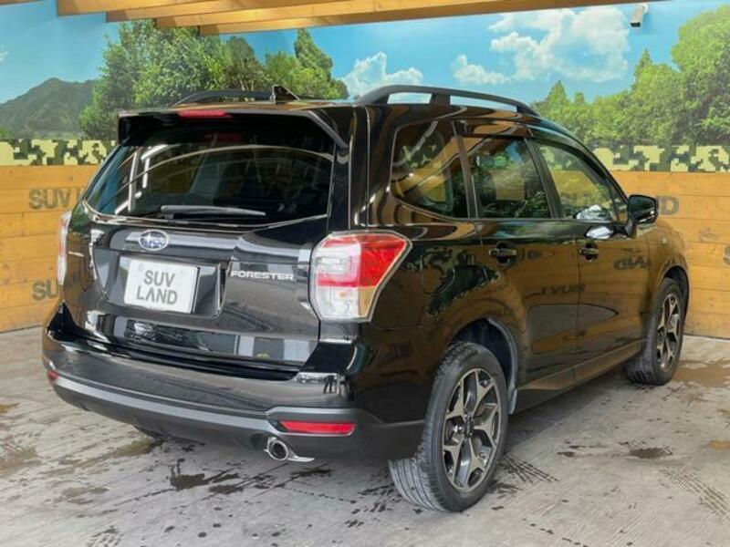FORESTER