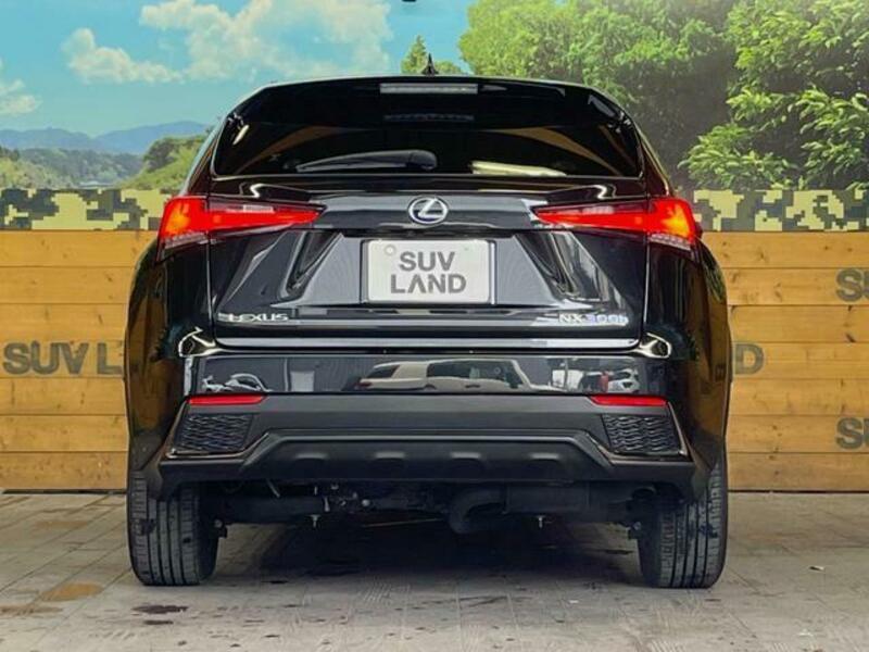 NX
