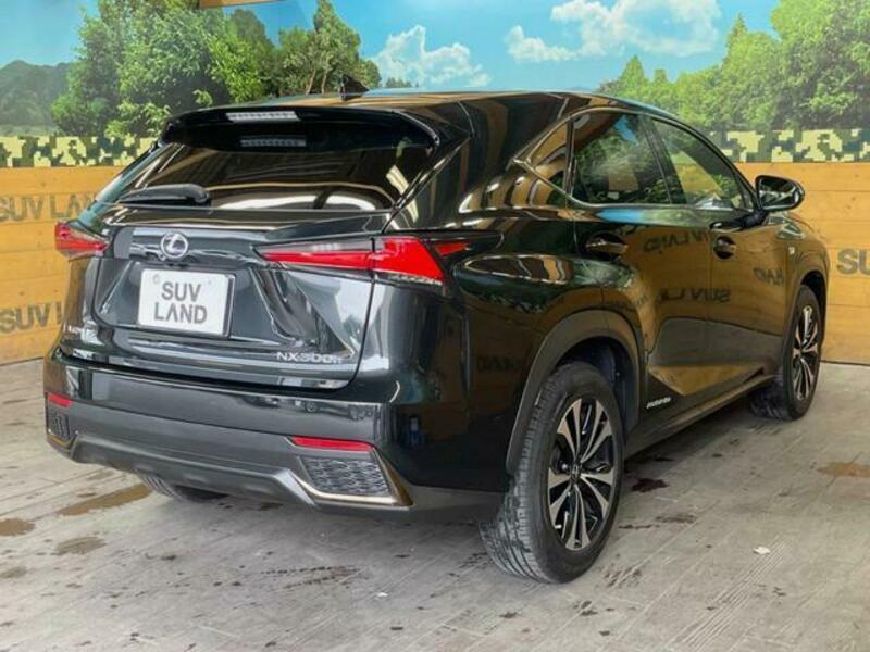 NX
