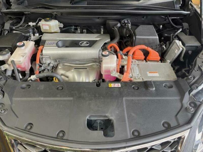NX