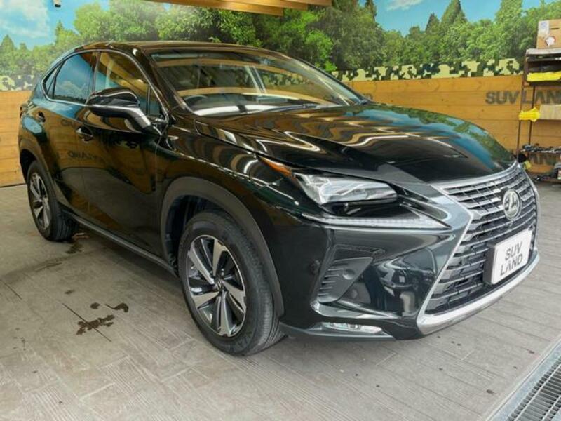 NX