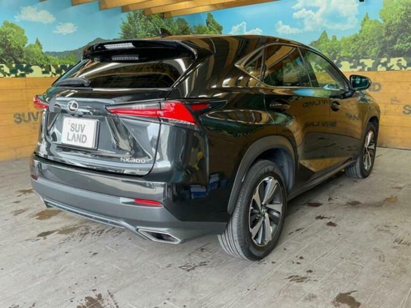 NX