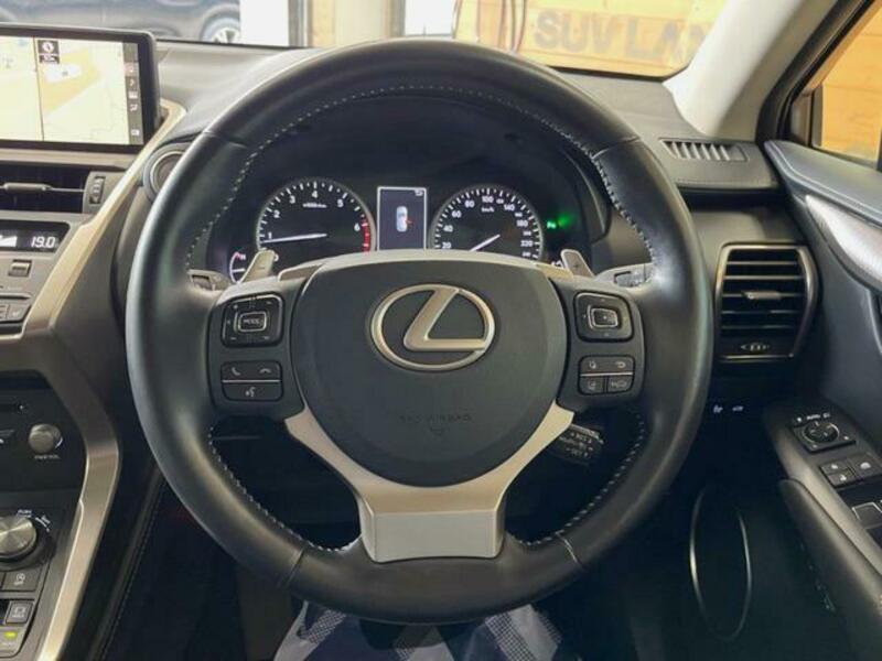NX