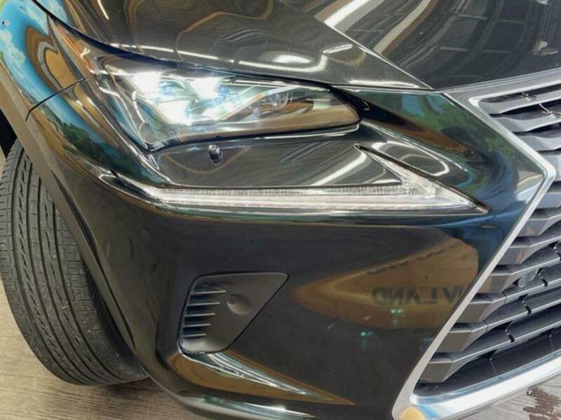 NX