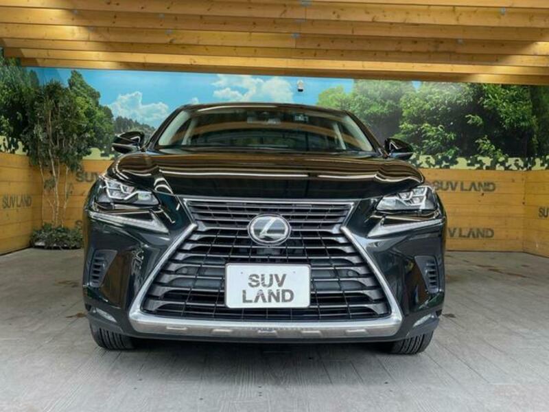 NX