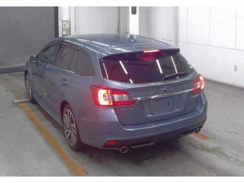 LEVORG-1
