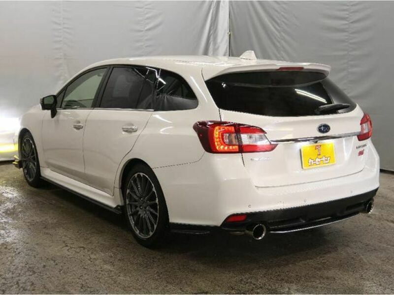 LEVORG-12
