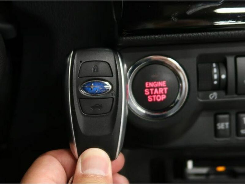 LEVORG-25