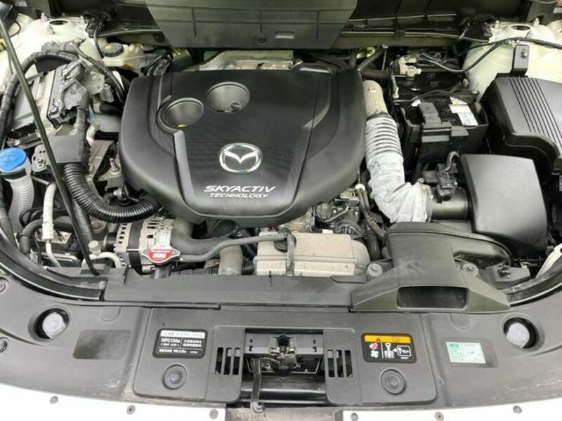 CX-8