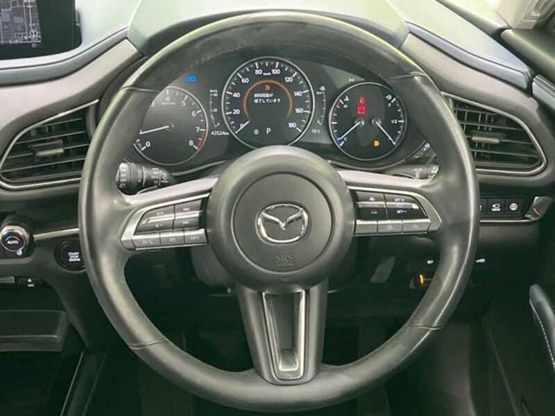CX-30