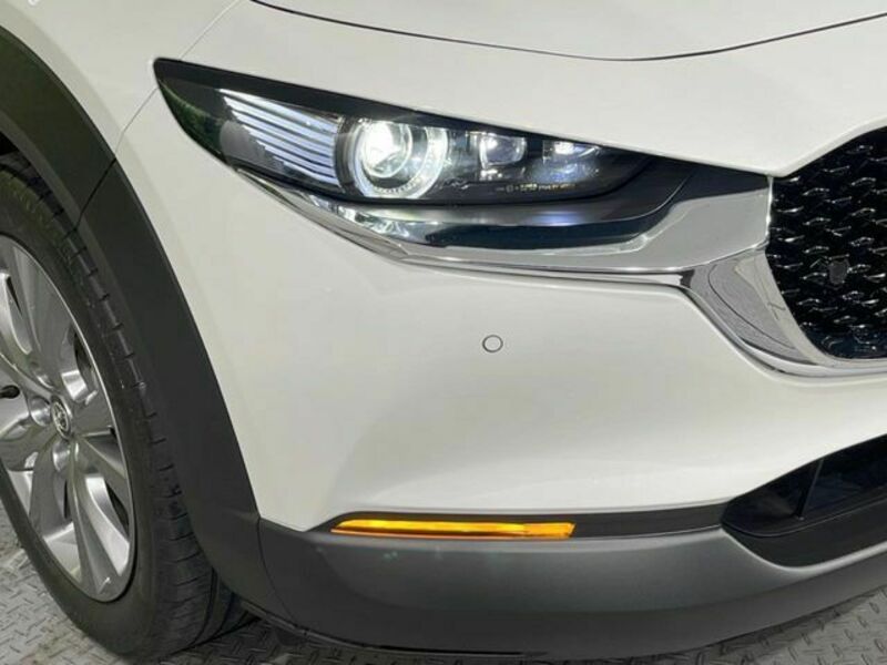 CX-30