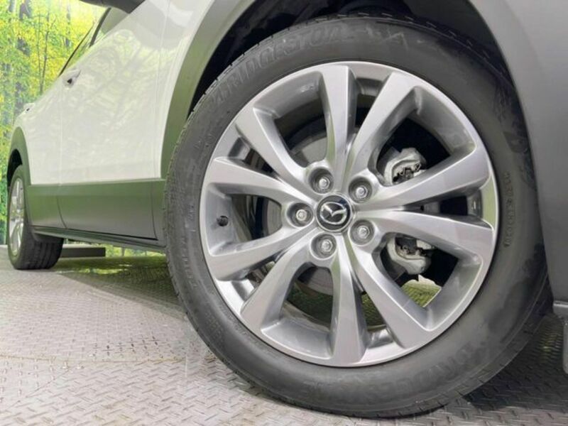 CX-30