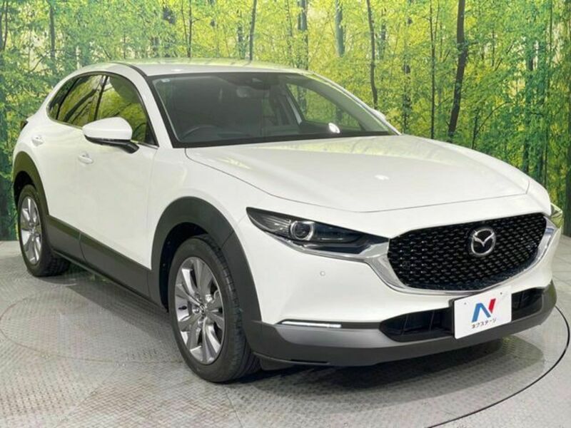 CX-30