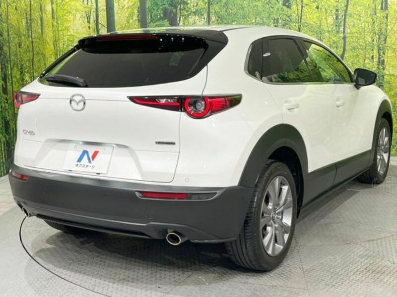 CX-30