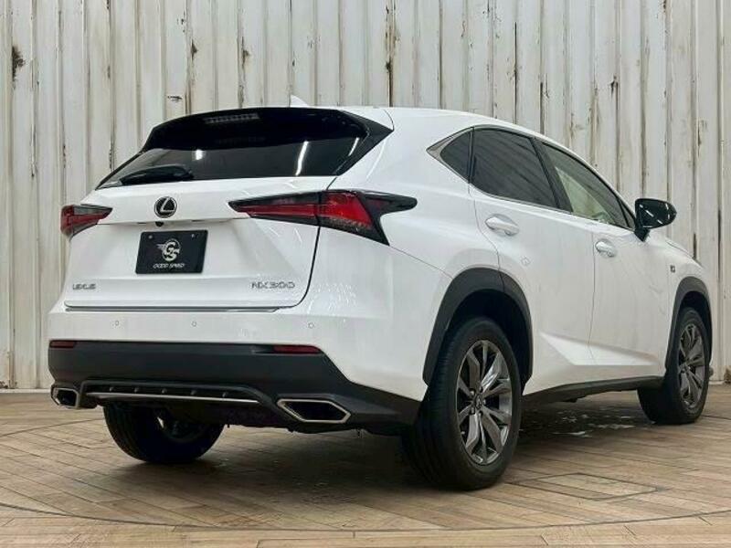 NX