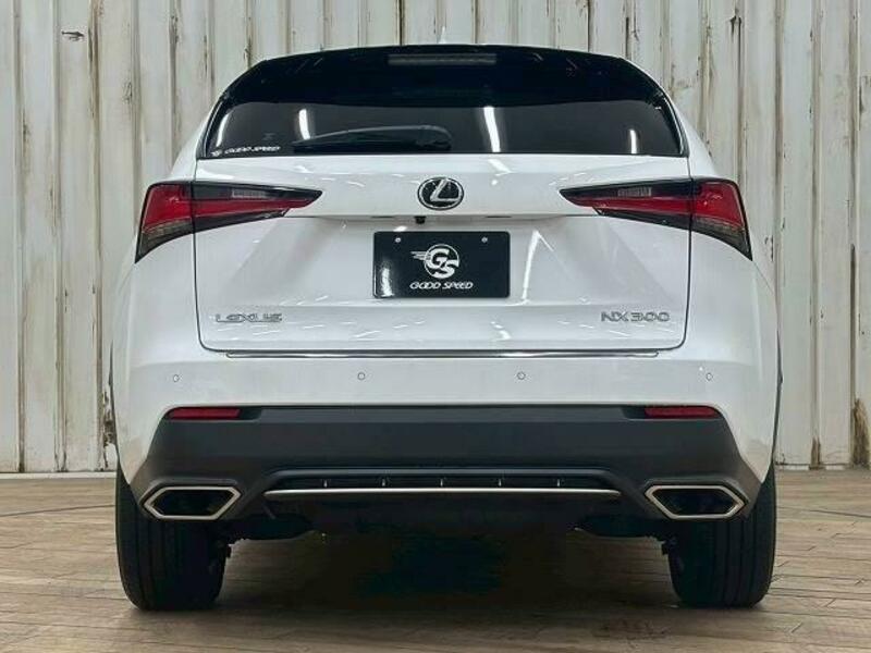 NX