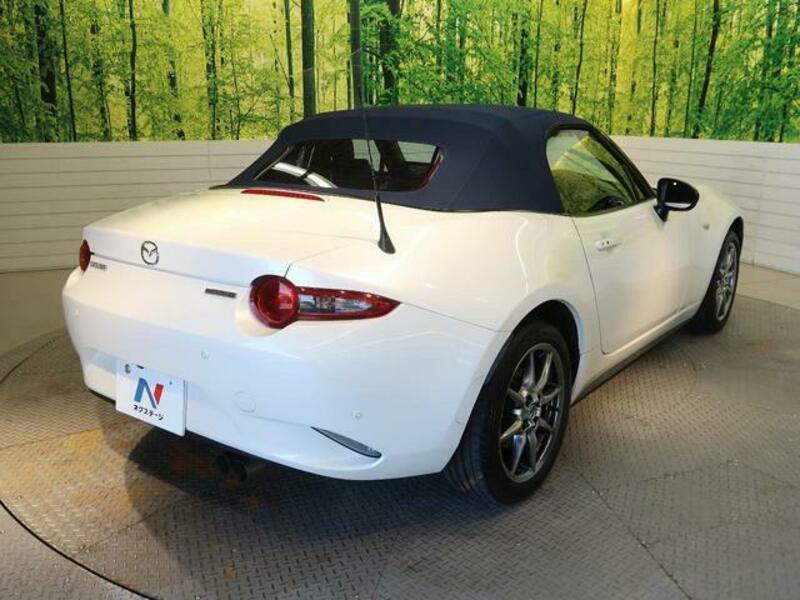 ROADSTER