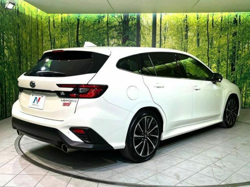 LEVORG