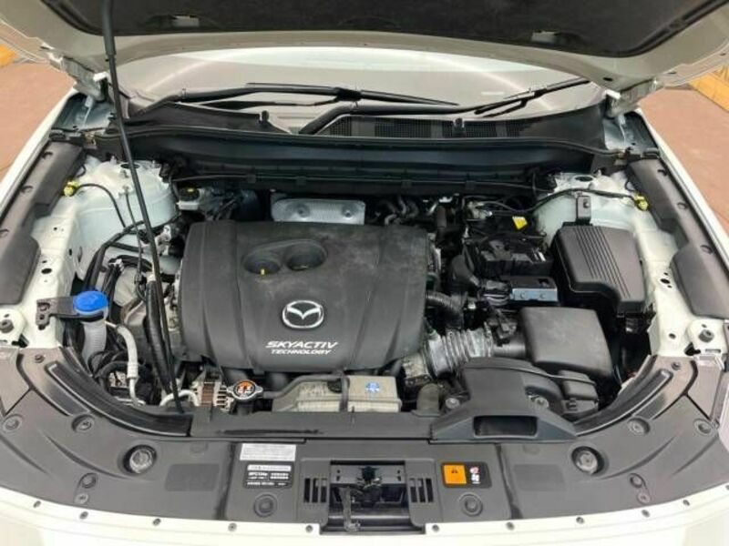 CX-8