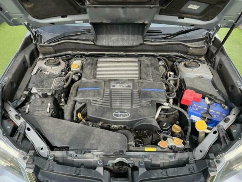 FORESTER-16