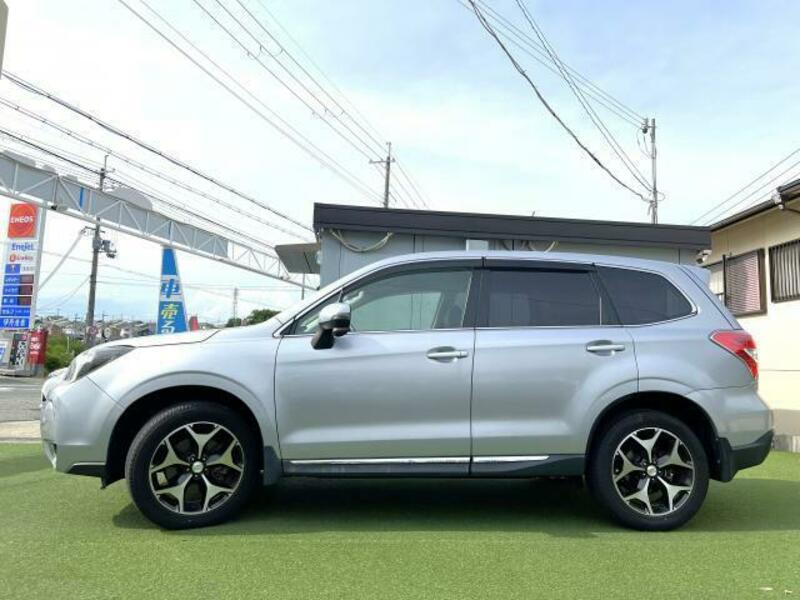 FORESTER-2