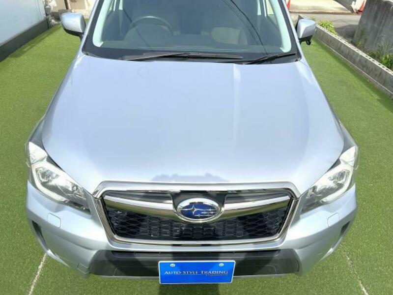 FORESTER-17