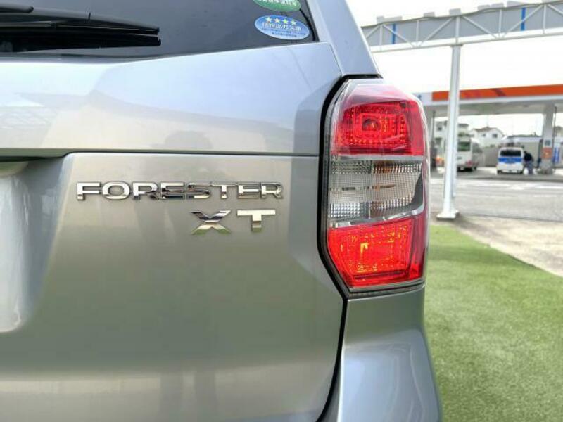 FORESTER-19