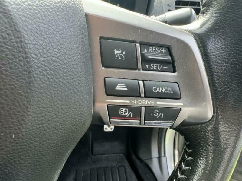 FORESTER-9