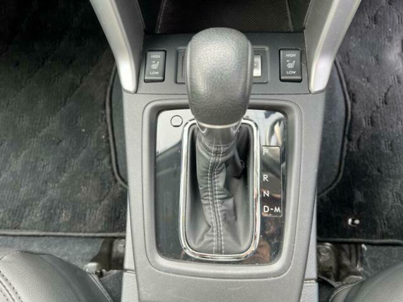 FORESTER-11