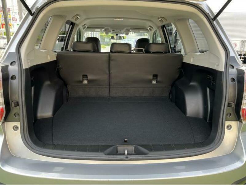 FORESTER-13