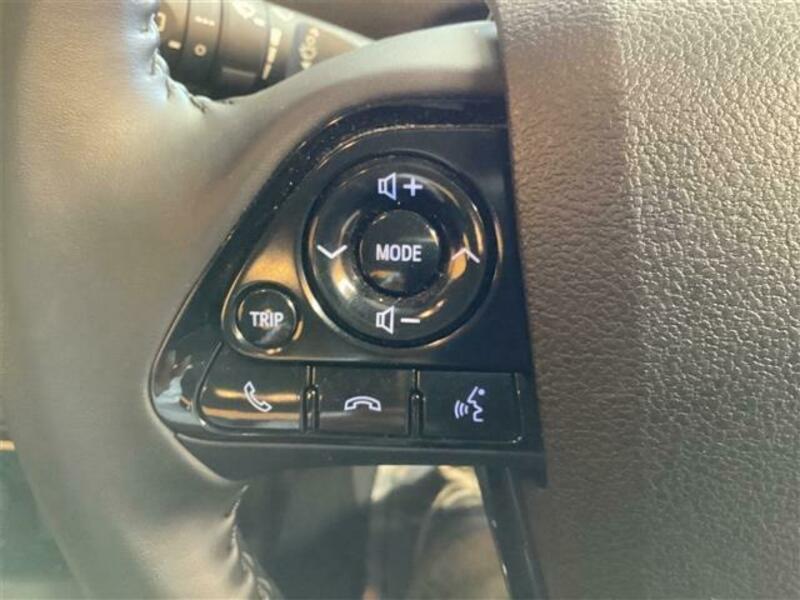 PRIUS-10