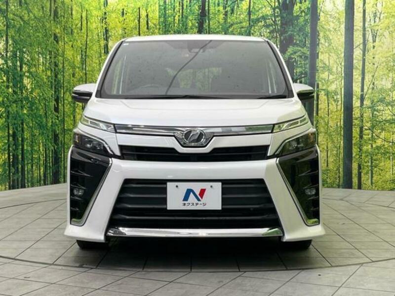 VOXY-14