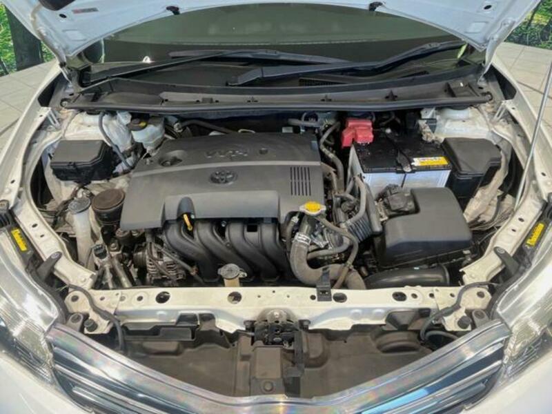 COROLLA FIELDER