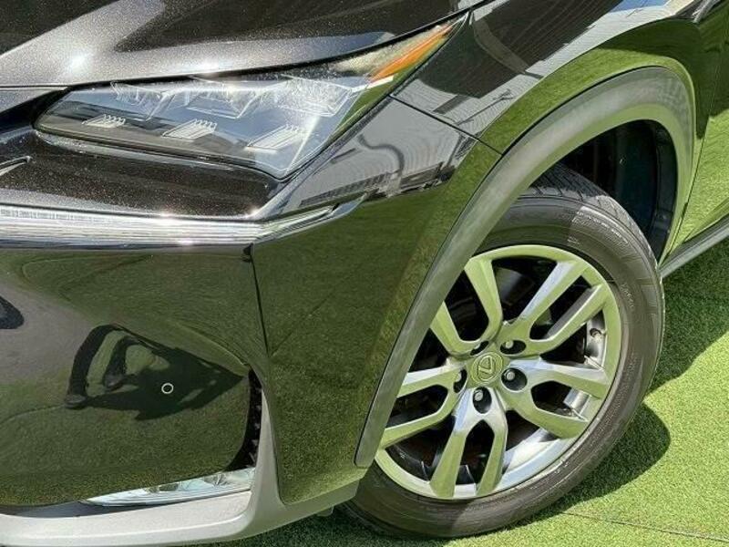 NX