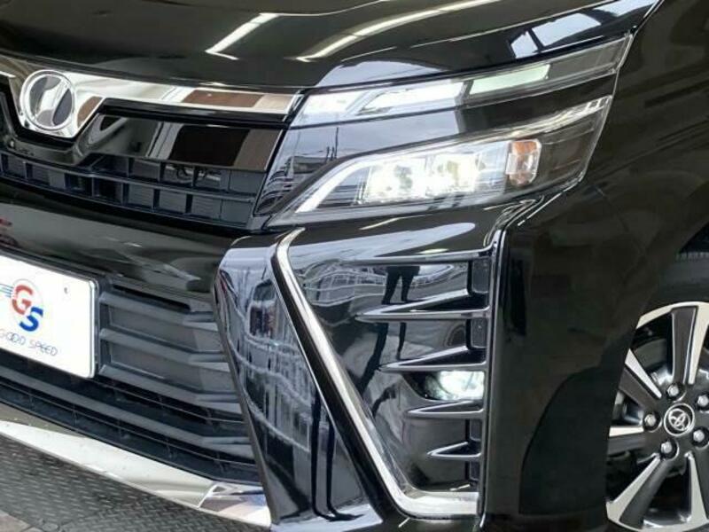 VOXY-19