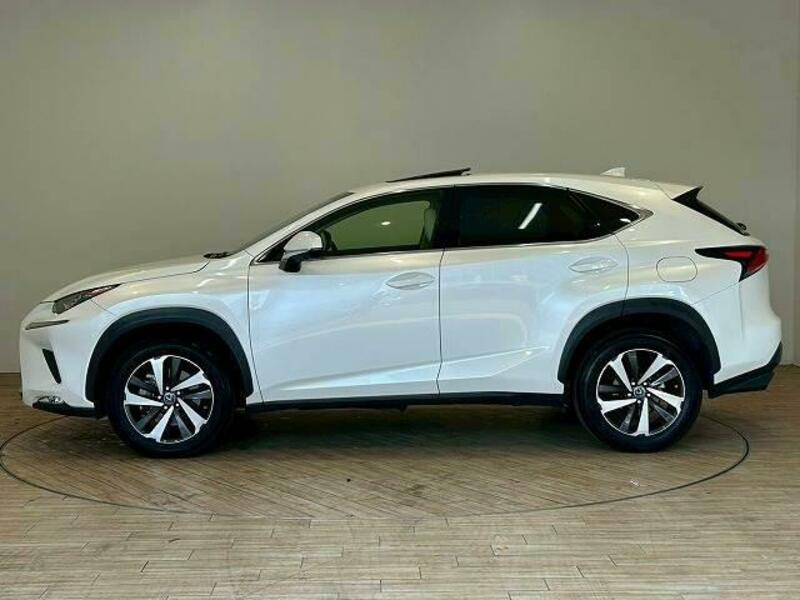 NX