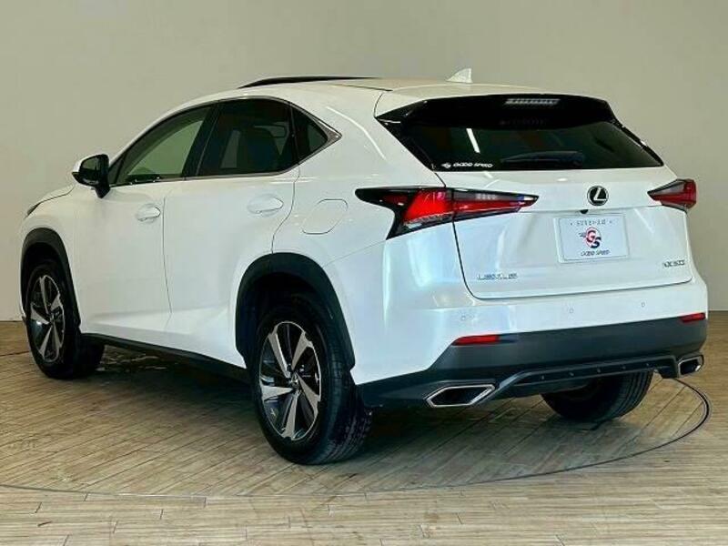NX