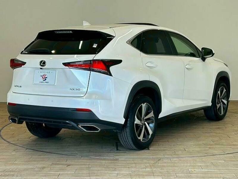 NX