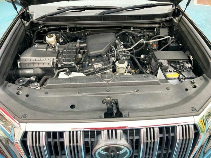 LAND CRUISER PRADO-29