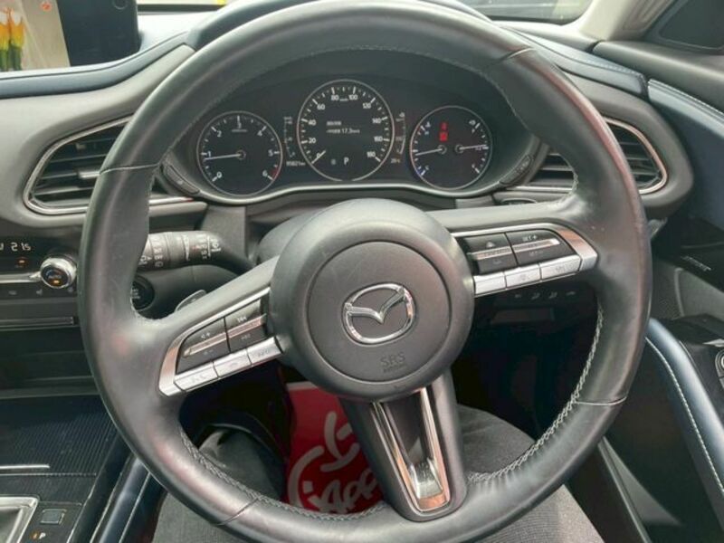 CX-30