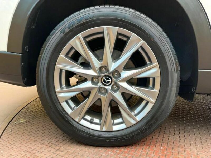 CX-8-13