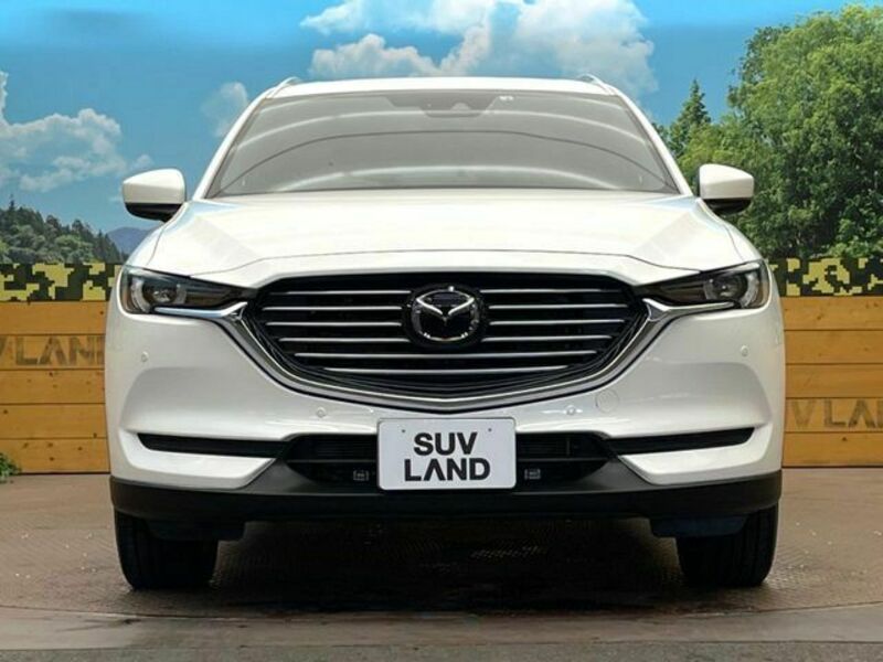 CX-8-14