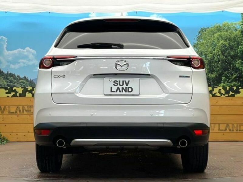 CX-8-15