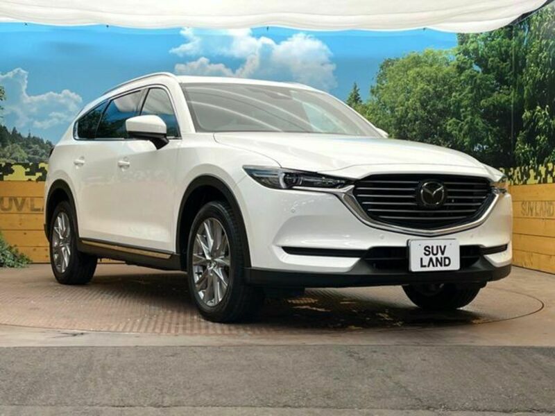 CX-8-16