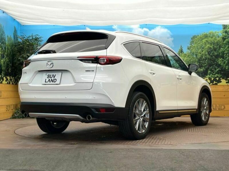 CX-8-17