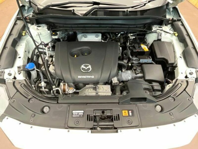 CX-8-18