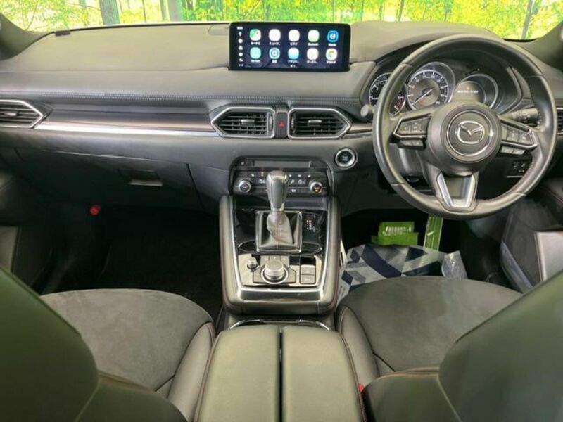 CX-8-1