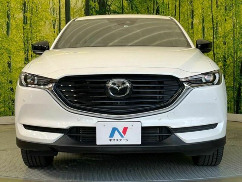 CX-8-14
