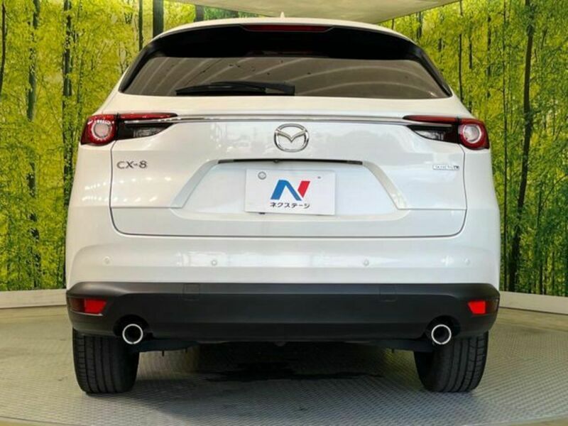 CX-8-15