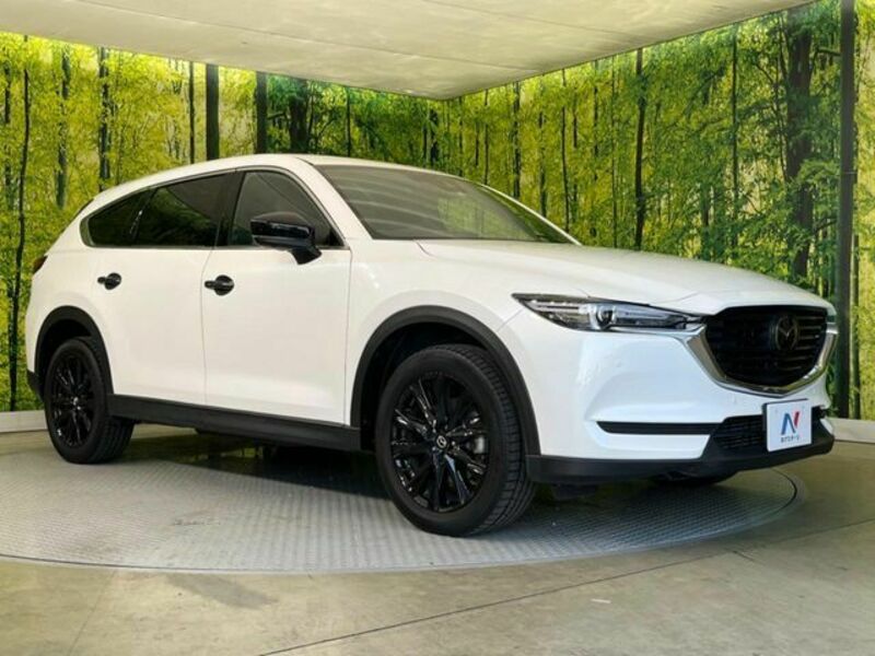 CX-8-16